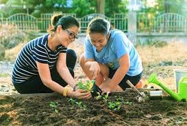 Garden Cleaning